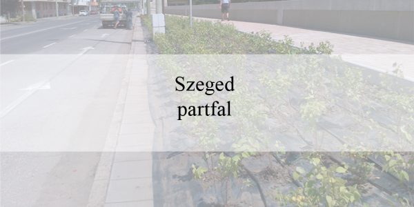 Szeged partfal másolata